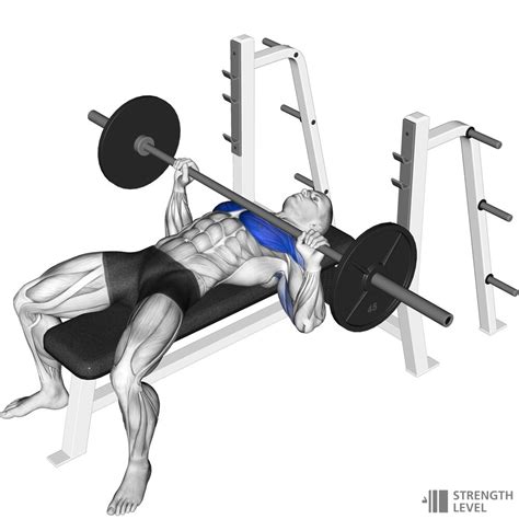 Step 2 Next, gradually increase your volume from less than 5 sets of bench per week to roughly 10-15 sets of bench per week. . Strengthlevelcom bench press